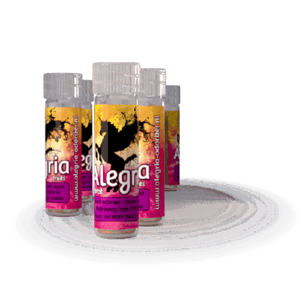 Alegria Forest Fruits - Elite Chems